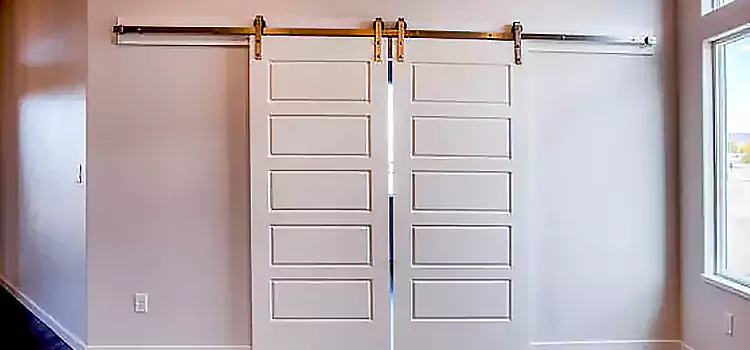Glass Barn Door with Installation Hardware Kit French Valley