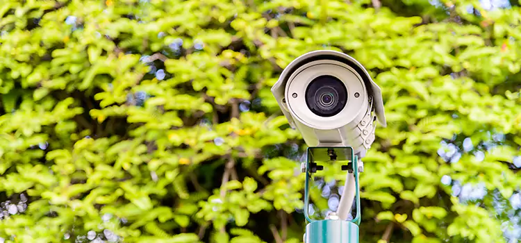 Advanced Surveillance Solutions for Every Need in French Valley