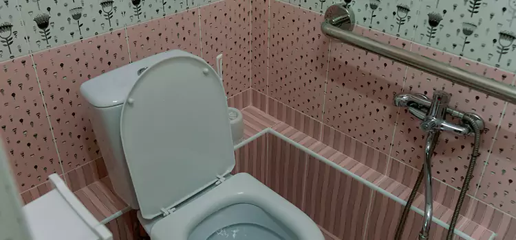 Meeting Diverse Needs With Accessible Restroom Solutions in French Valley, CA