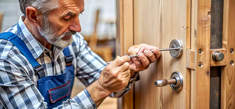 Mortise Replacement Lock French Valley