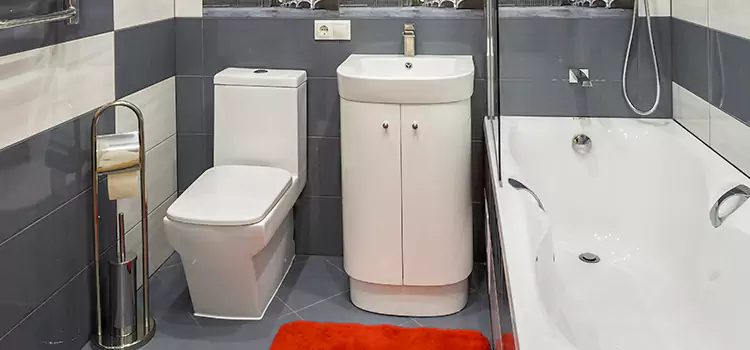 Hansgrohe Shaving Mirror French Valley
